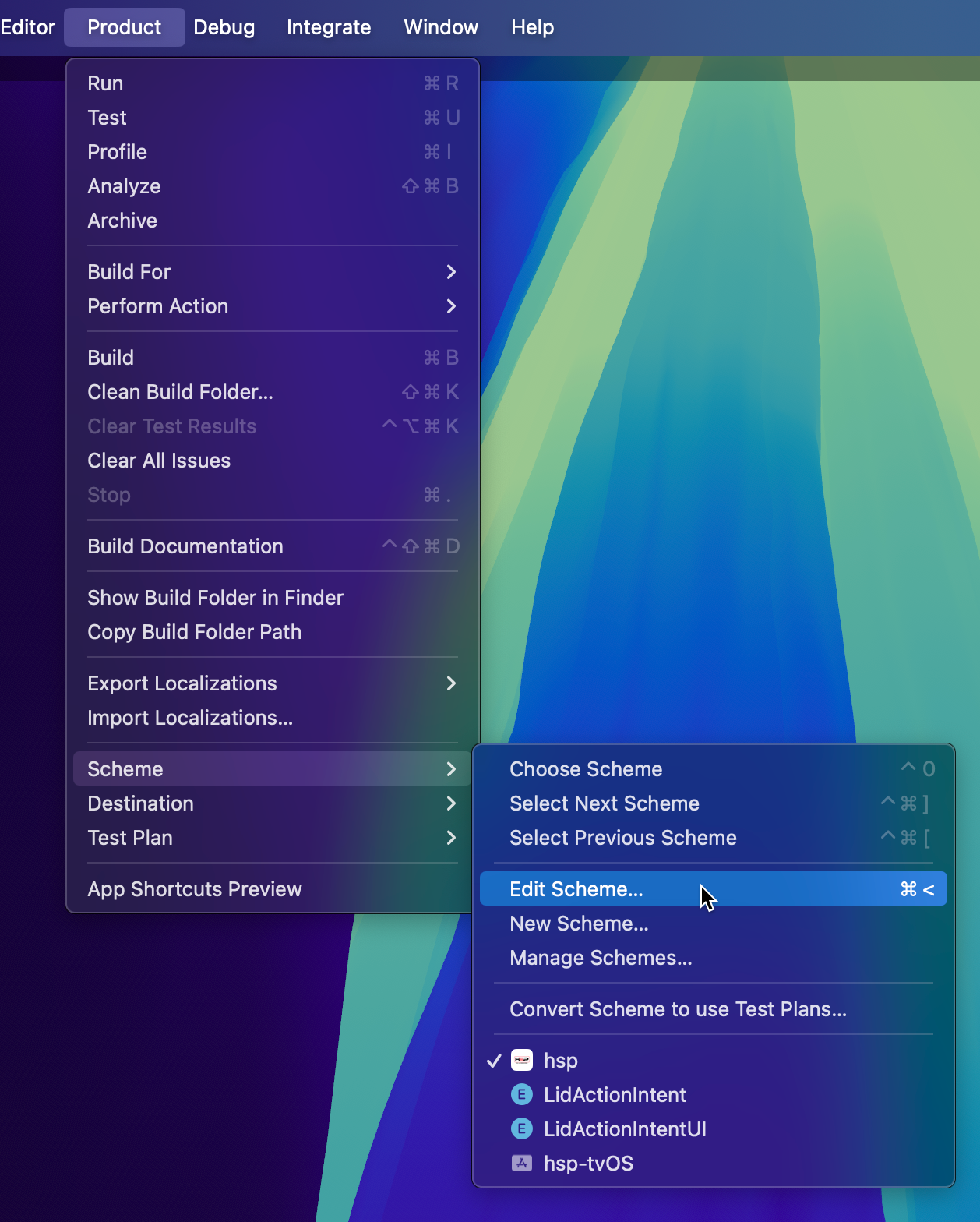 Xcode's Scheme Editor Entry