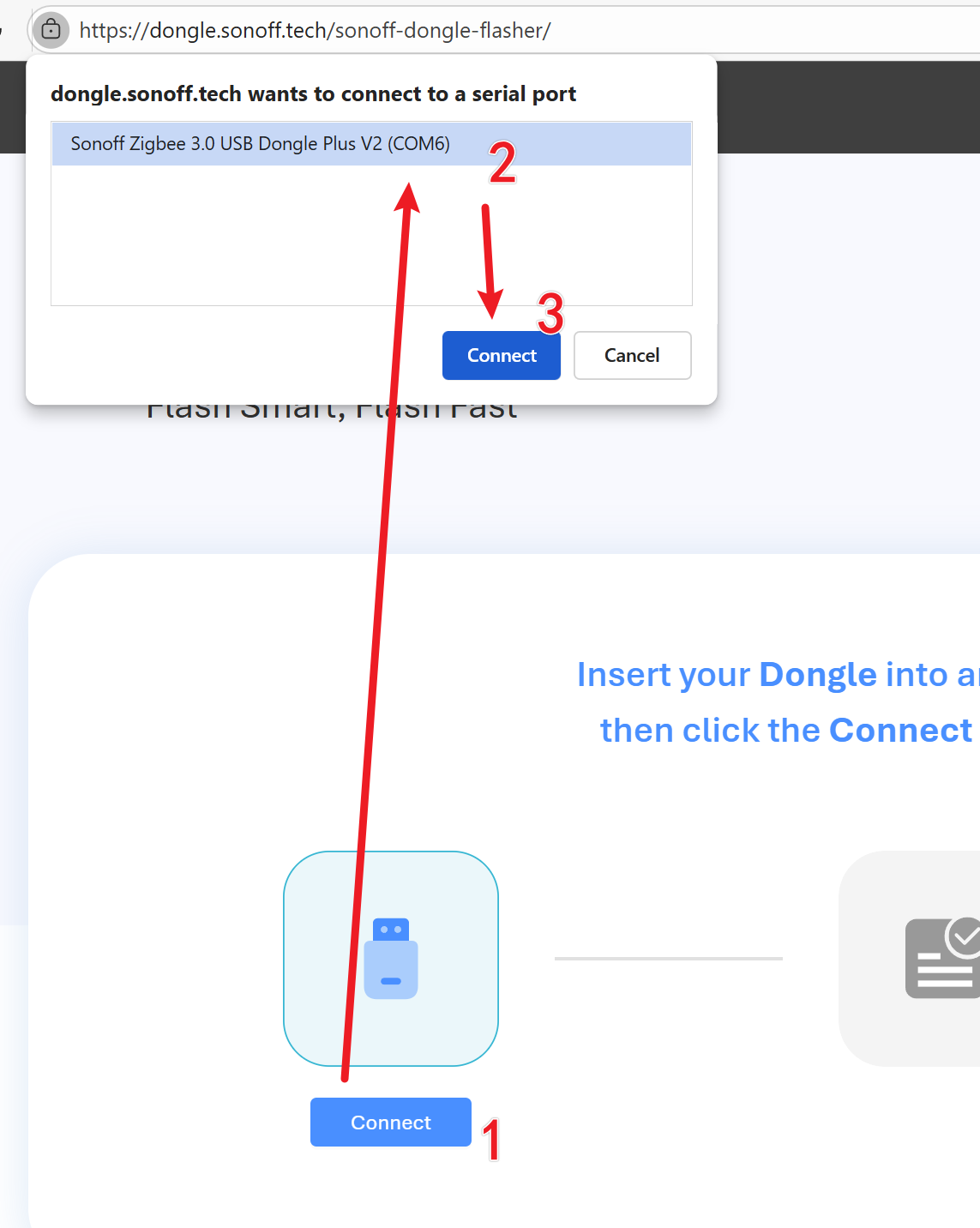 Connect the dongle to the online flasher